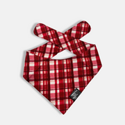 Check Me Out - BB Luxe Bandana