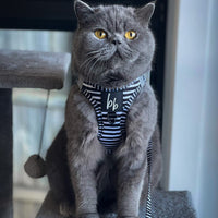 Licorice - Cat Harness