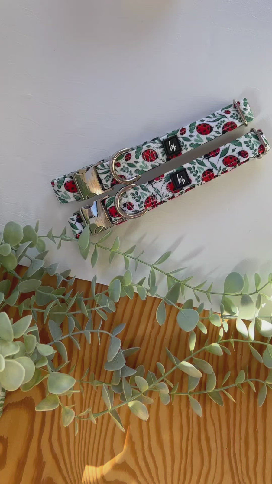 A Bug's Life - Fabric Dog Collar