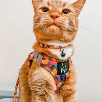 Austin Flowers - Cat Harness