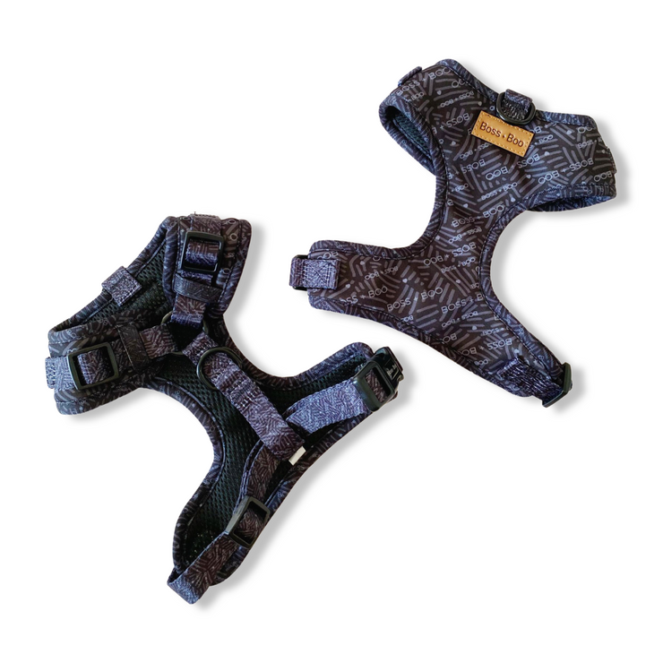 Signature Label Black/Slate - Adjustable Chest Harness