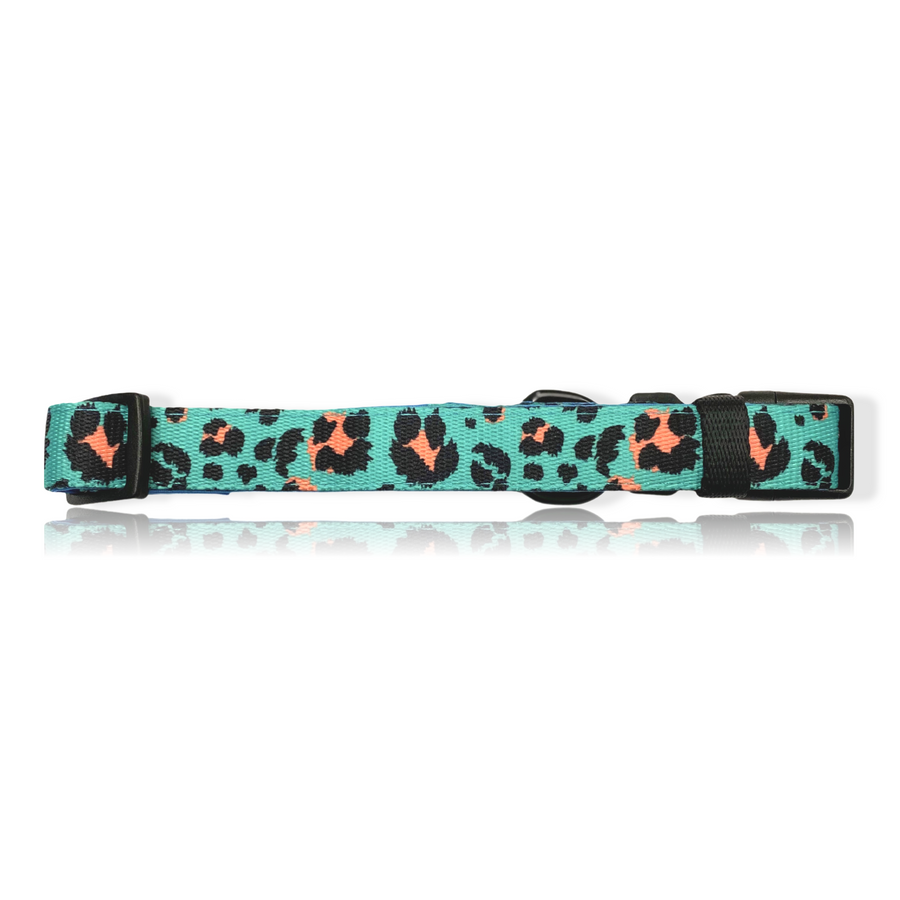 Aqua Cheetah - Dog Collar