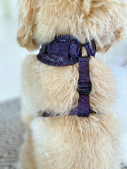 Signature Label Black/Slate - Adjustable Chest Harness