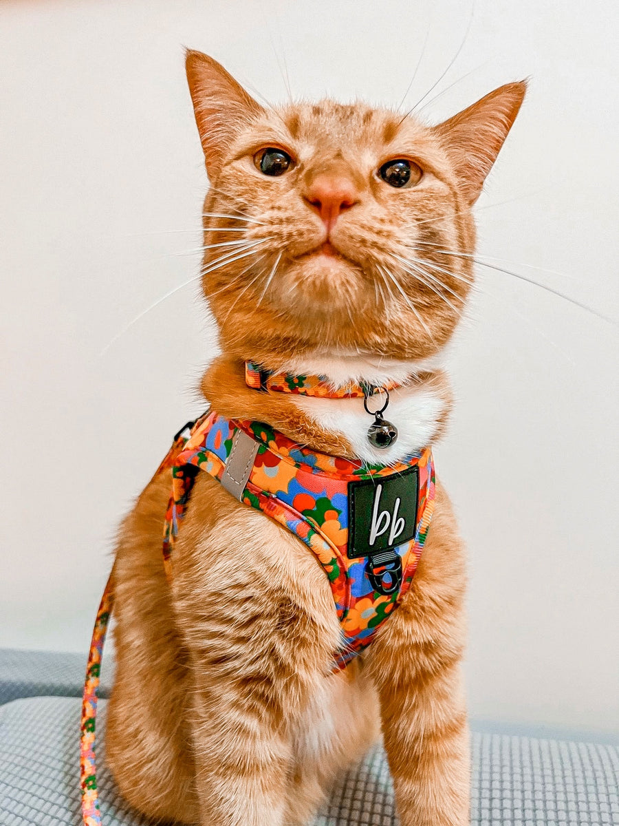 Austin Flowers - Cat Collar