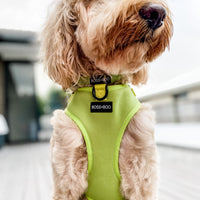 Pistachio - Adjustable Chest Harness