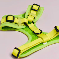 Pistachio - Adjustable Chest Harness