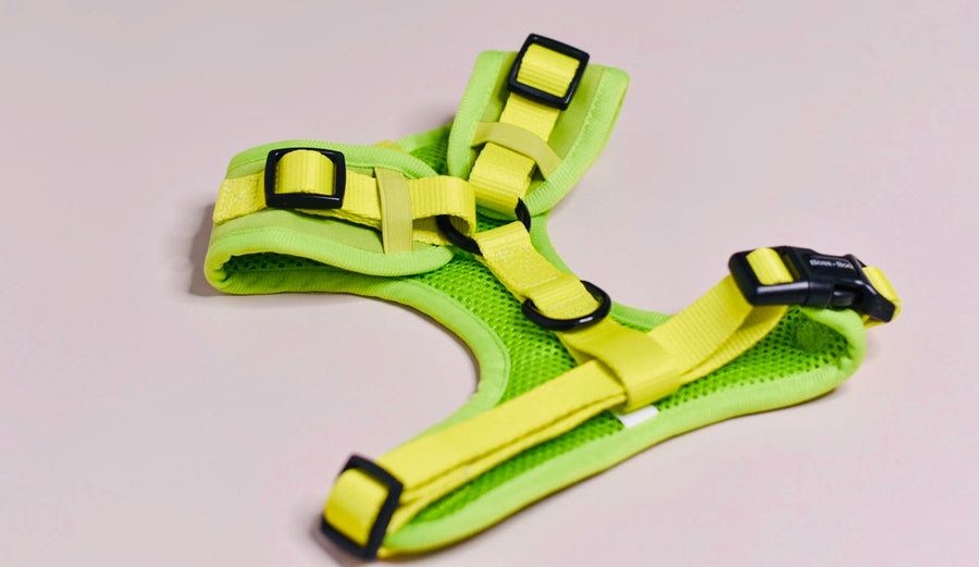 Pistachio - Adjustable Chest Harness