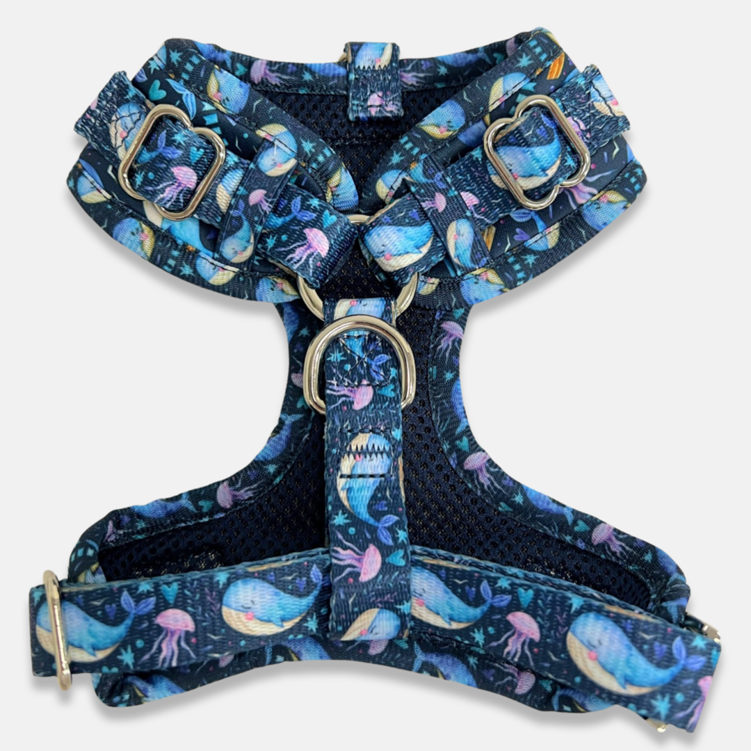 Under The Sea - Adjustable Chest Harness