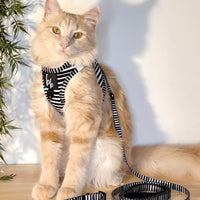 Licorice - Cat Harness
