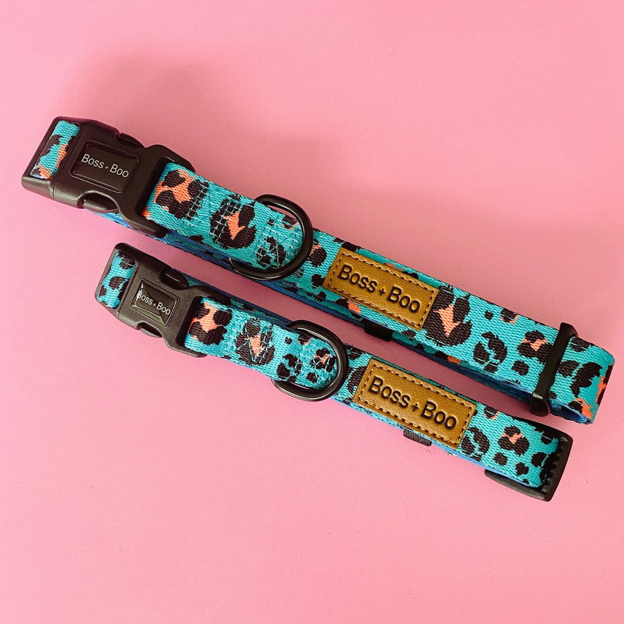 Aqua Cheetah - Dog Collar