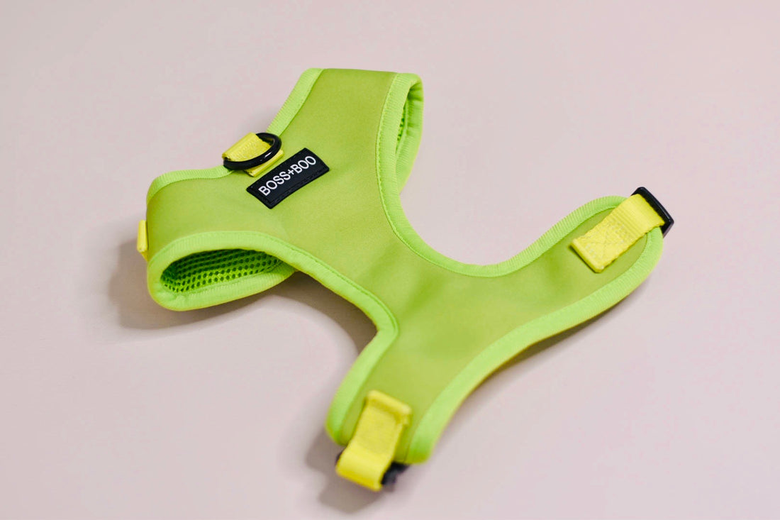 Pistachio - Adjustable Chest Harness