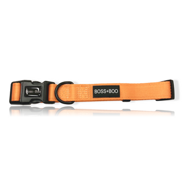 Orange Sherbet  - Dog Collar