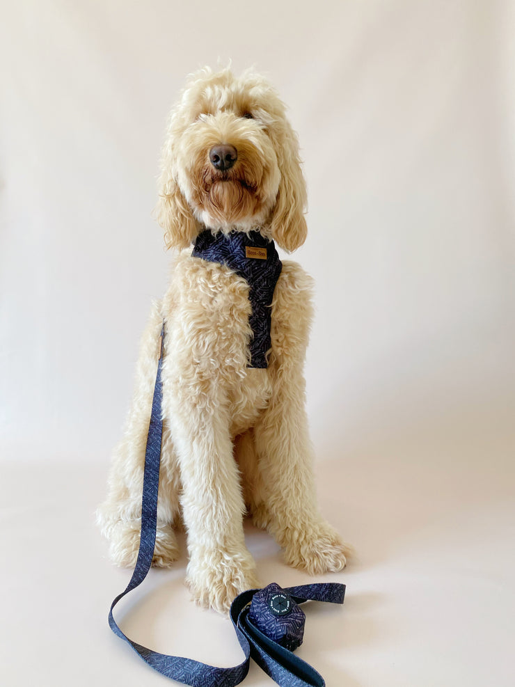 Signature Label Black/Slate - Adjustable Chest Harness