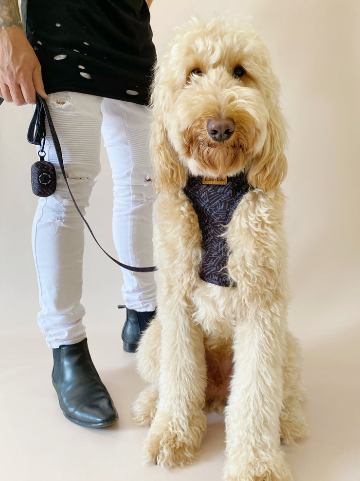 Signature Label Black/Slate - Adjustable Chest Harness