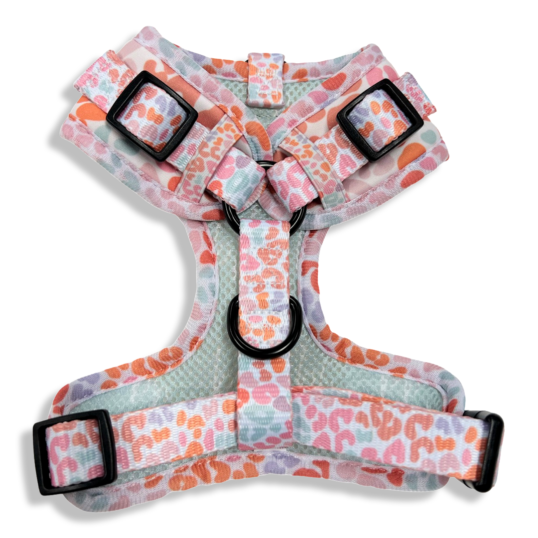 Wild At Heart - Adjustable Chest Harness