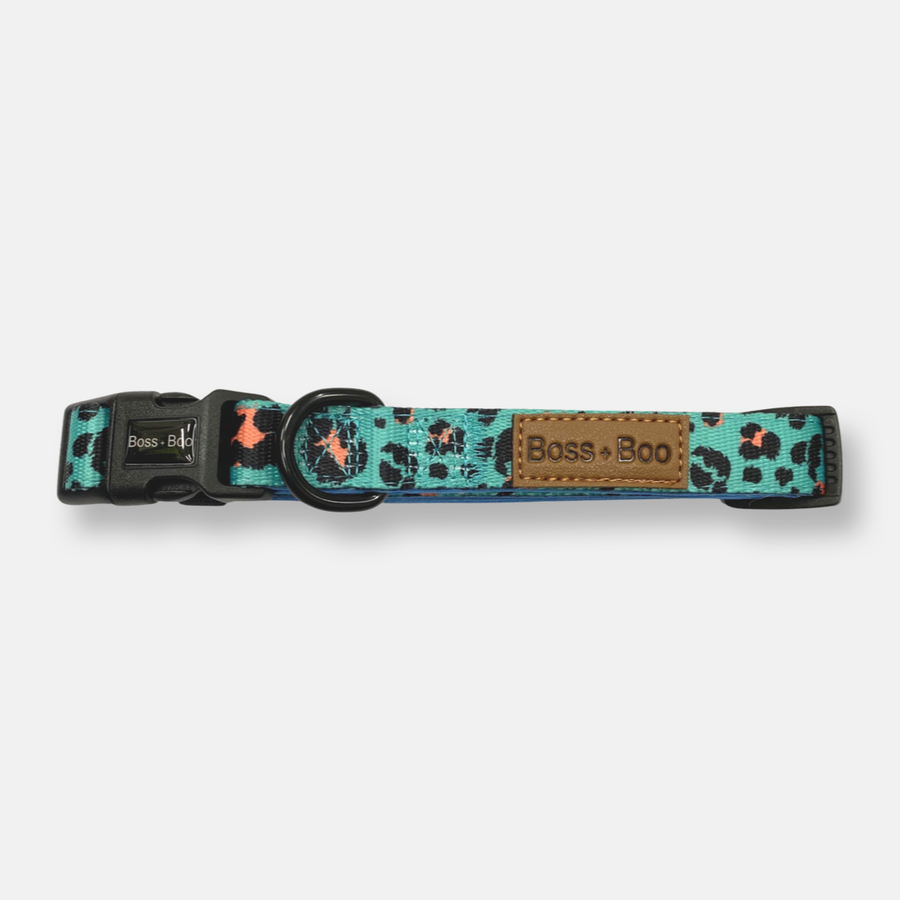 Aqua Cheetah - Dog Collar