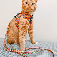 Austin Flowers - Cat Harness